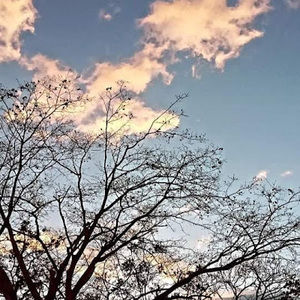 Meet your Posher, Ahyleth